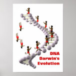 DNA Darwin's Evolution Posters