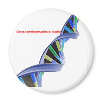 DNA - Deoxyribonucleic acid magnets