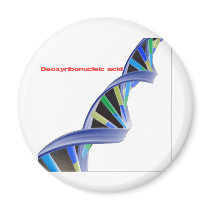 DNA - Deoxyribonucleic acid Fridge Magnet