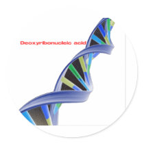 DNA - Deoxyribonucleic acid Round Stickers