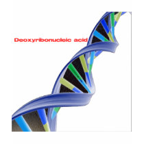 DNA - Deoxyribonucleic acid t-shirts by WhenInRoma DNA - Deoxyribonucleic acid t-shirts