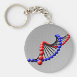 DNA - Double Helix Keychain