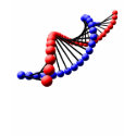 DNA - Double Helix Spaghetti Top t-shirts by seonaidh DNA - Double Helix Spaghetti Top t-shirts