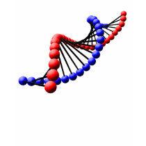 DNA - Double Helix Spaghetti Top t-shirts