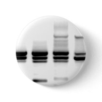 DNA Gel buttons by SuperBug DNA Gel buttons