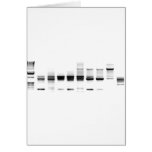DNA Gel Card