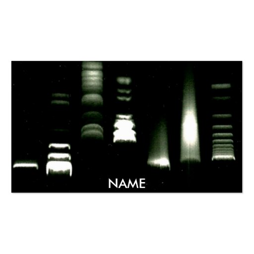 DNA Gel Electrophoresis Business Card (back side)