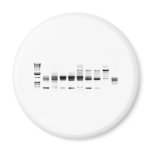 DNA Gel Refrigerator Magnet