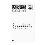 DNA Gel Stamp