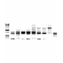 DNA Gel t-shirts by SuperBug DNA Gel t-shirts