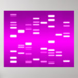 DNA Genetic Code Pink Magenta Posters