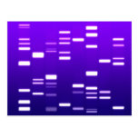 DNA Genetic Code Purple Postcards