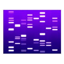 DNA Genetic Code Purple Postcards