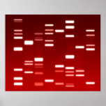 DNA Genetic Code Red Print