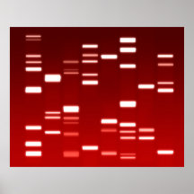DNA Genetic Code Red Print