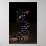DNA in the Spotlight Poster