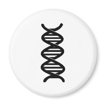 DNA FRIDGE MAGNETS