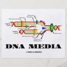 DNA Media Custom Flyer