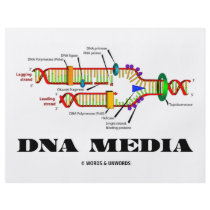 DNA Media Custom Flyer