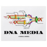 DNA Media flyers