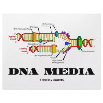 DNA Media Letterhead