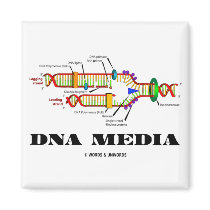 DNA Media Magnet