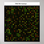 DNA microarrays science background any size Poster posters