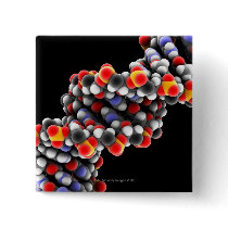 DNA molecule. Molecular model of DNA Buttons