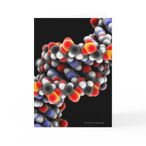 DNA molecule. Molecular model of DNA Cards