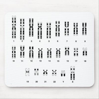 DNA mousepad by inesitag