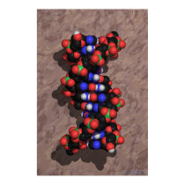 DNA on Stone posters by ChemicalGraphics DNA on Stone posters