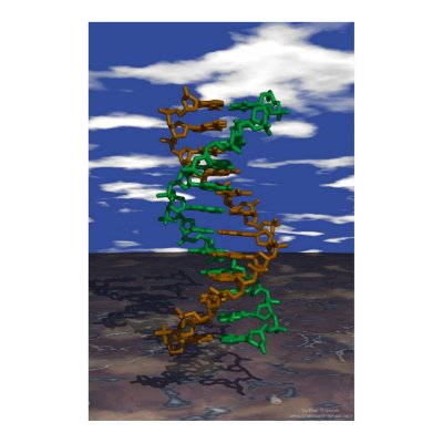 DNA Outdoors Poster by ChemicalGraphics