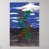 DNA Outdoors Poster