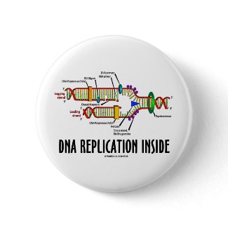 DNA Replication Inside (DNA Attitude) button