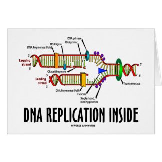 DNA Replication Inside (DNA Attitude) card