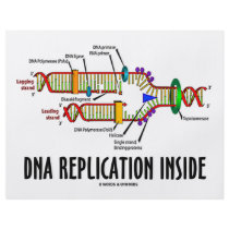 DNA Replication Inside (DNA Attitude) flyers by wordsunwords DNA Replication Inside (DNA Attitude) flyers