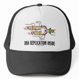 DNA Replication Inside (DNA Attitude) hat