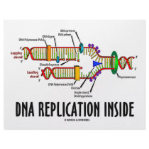 DNA Replication Inside (DNA Attitude) letterhead by wordsunwords DNA Replication Inside (DNA Attitude) letterhead