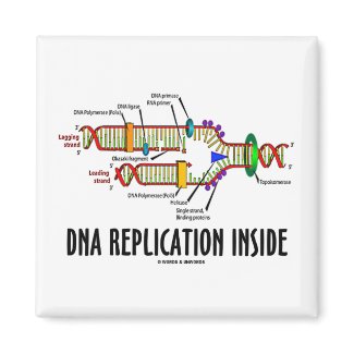 DNA Replication Inside (DNA Attitude) magnet