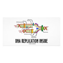 DNA Replication Inside (DNA Attitude) photo cards