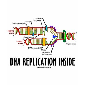 DNA Replication Inside (DNA Attitude) shirt