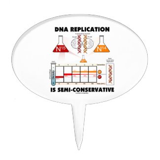 DNA Replication Is Semi-Conservative Cake Toppers