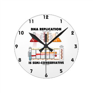 DNA Replication Is Semi-Conservative Round Wall Clock
