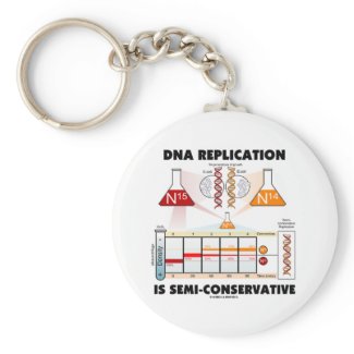 DNA Replication Is Semi-Conservative Keychain