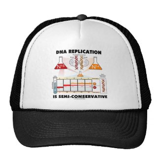 DNA Replication Is Semi-Conservative Mesh Hat