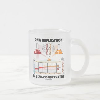DNA Replication Is Semi-Conservative Mug