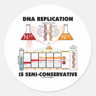 DNA Replication Is Semi-Conservative Round Sticker