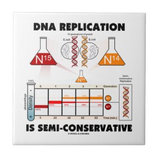 DNA Replication Is Semi-Conservative Tiles