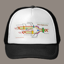 DNA Replication hats