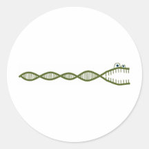 DNA ROUND STICKERS